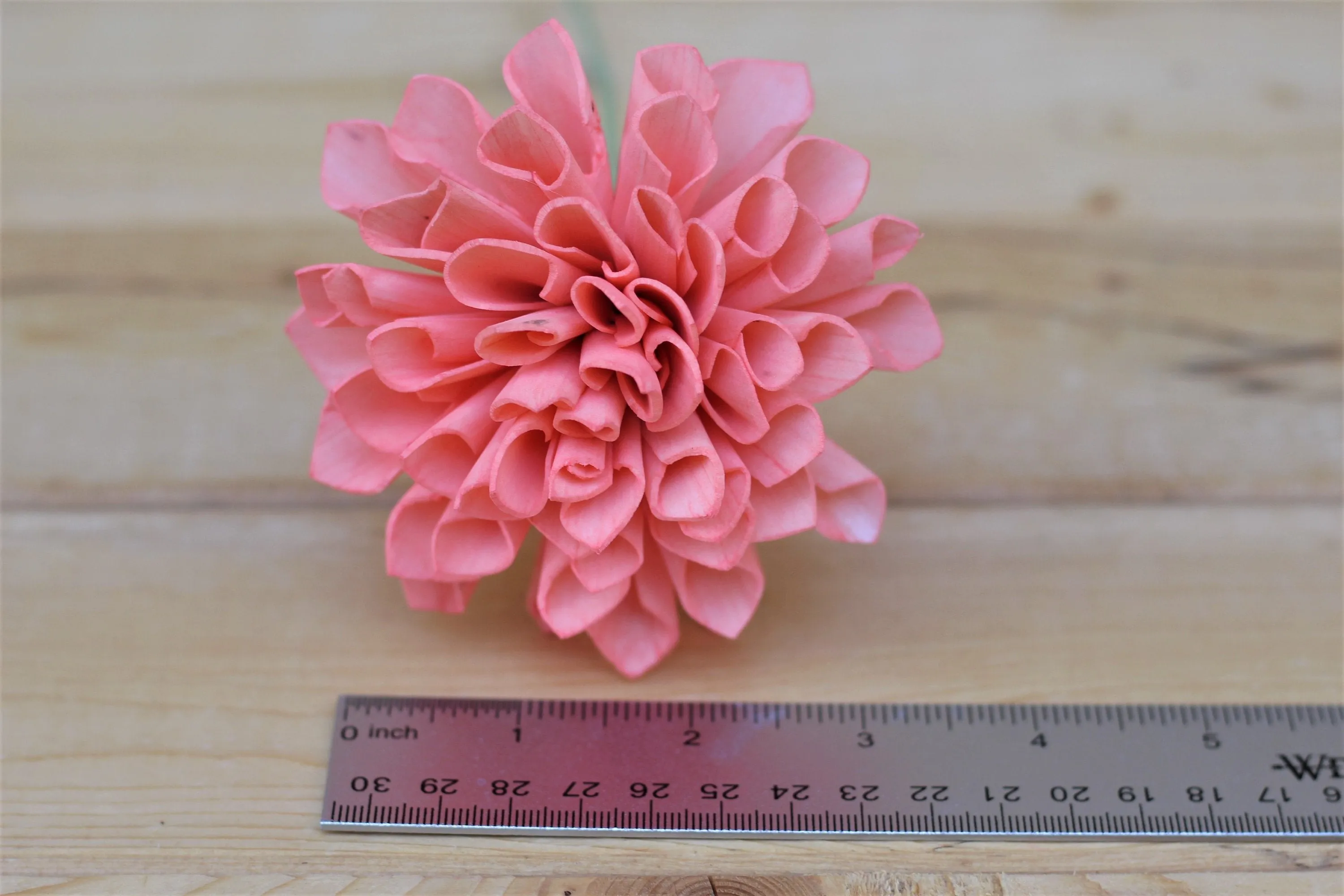 12 Coral Stemmed Dahlia Wood Flowers