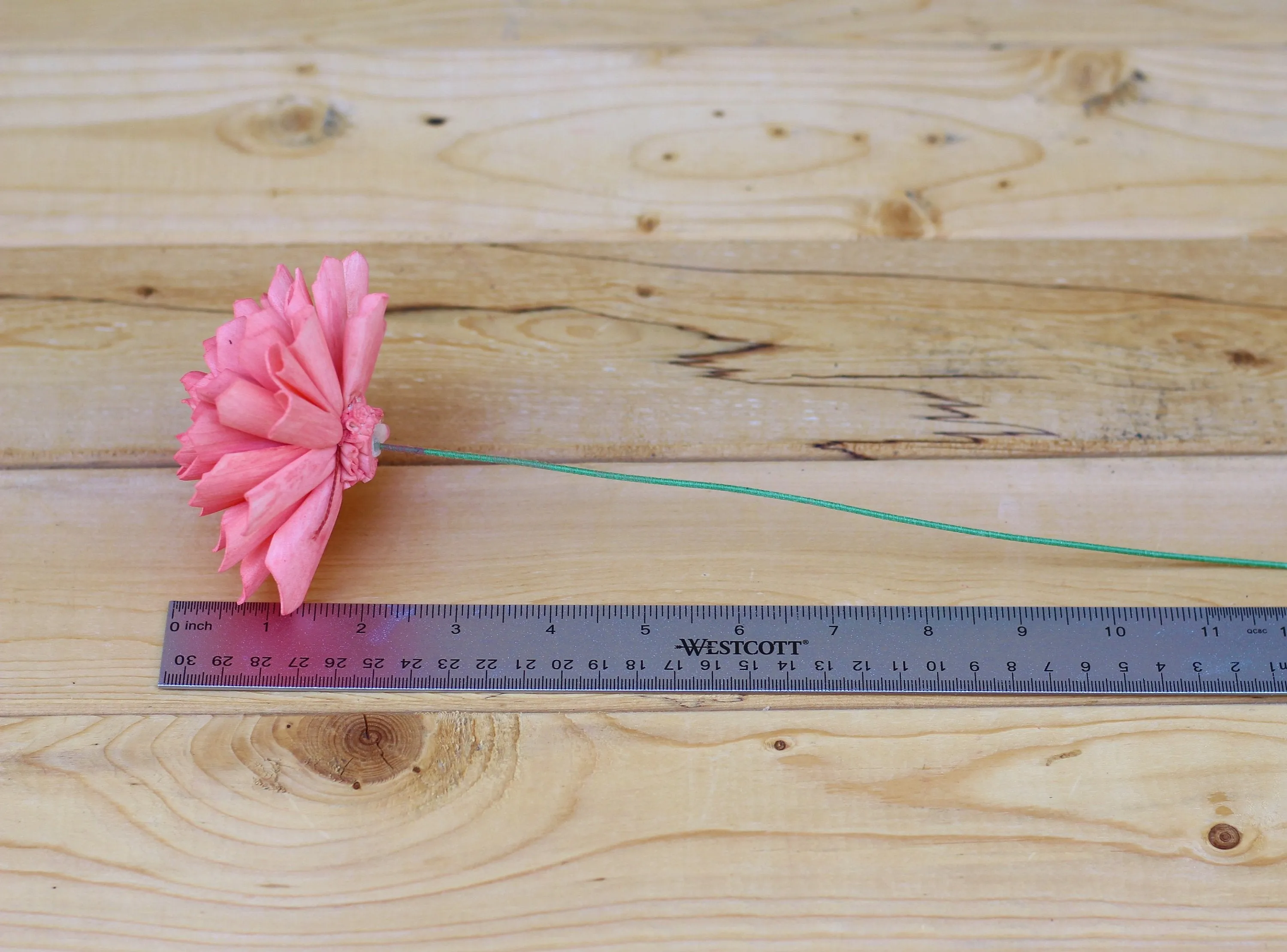 12 Coral Stemmed Dahlia Wood Flowers