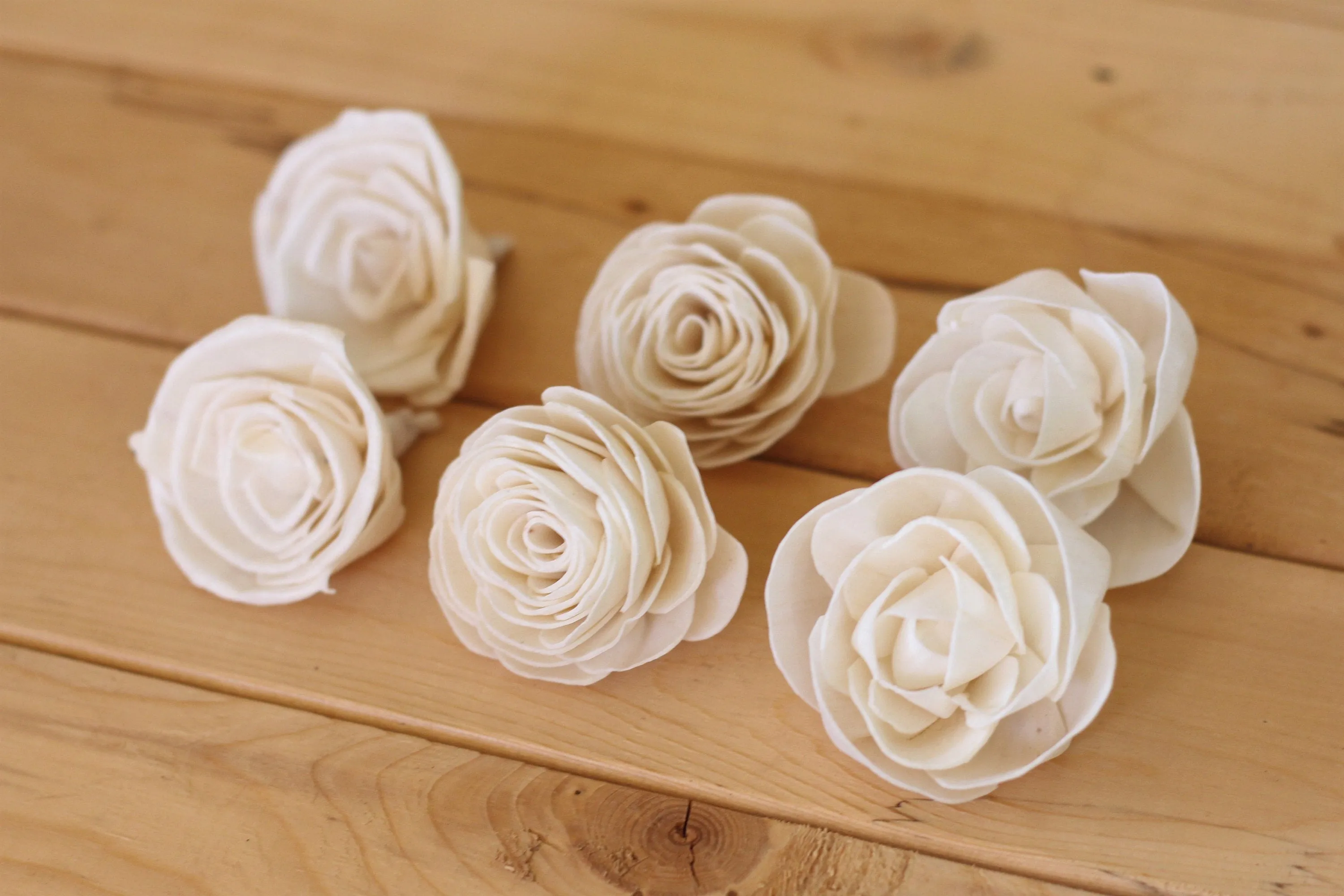 Assorted Sola Wood Rose Flowers