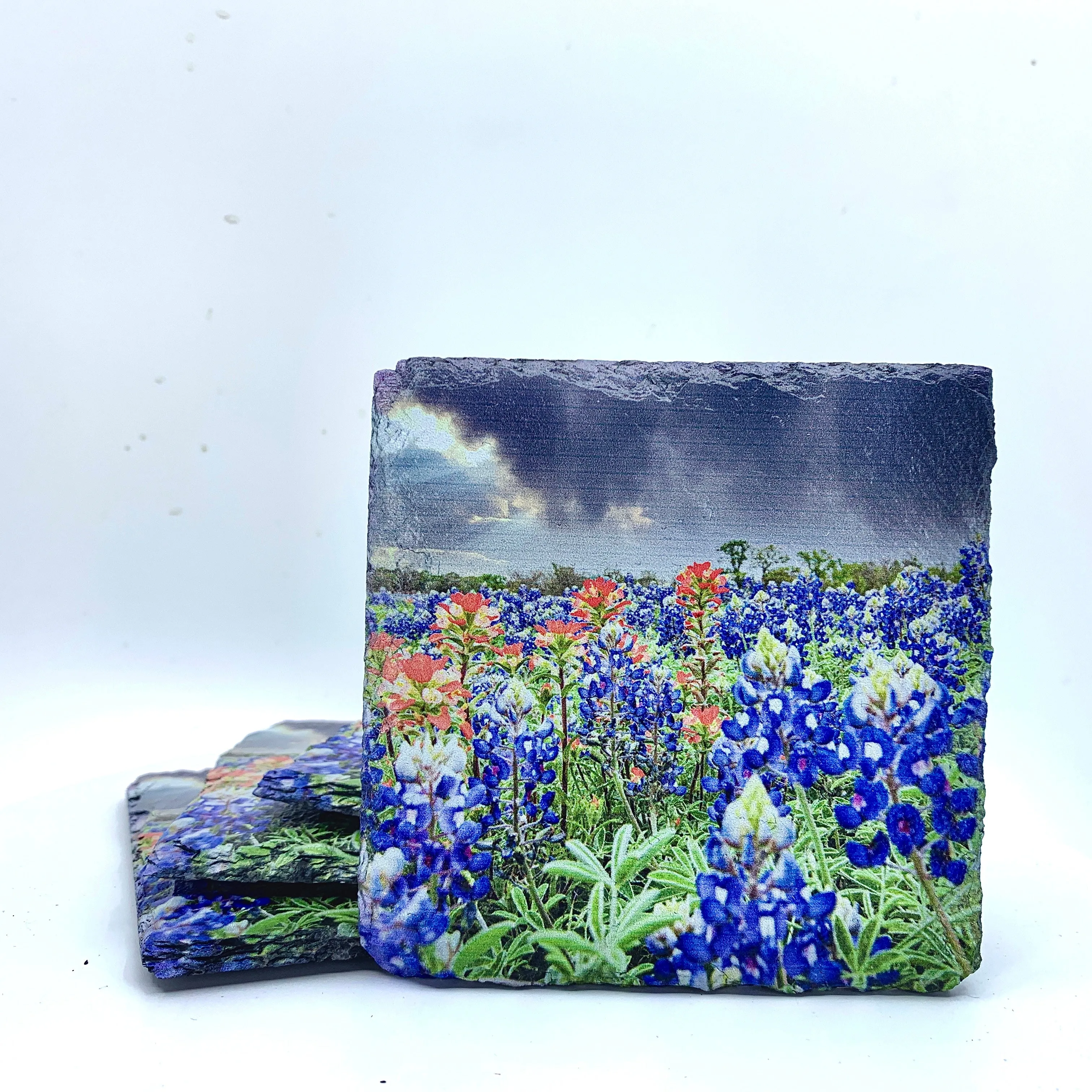 Bluebonnets, April Showers, Black Slate Coaster Set of 4