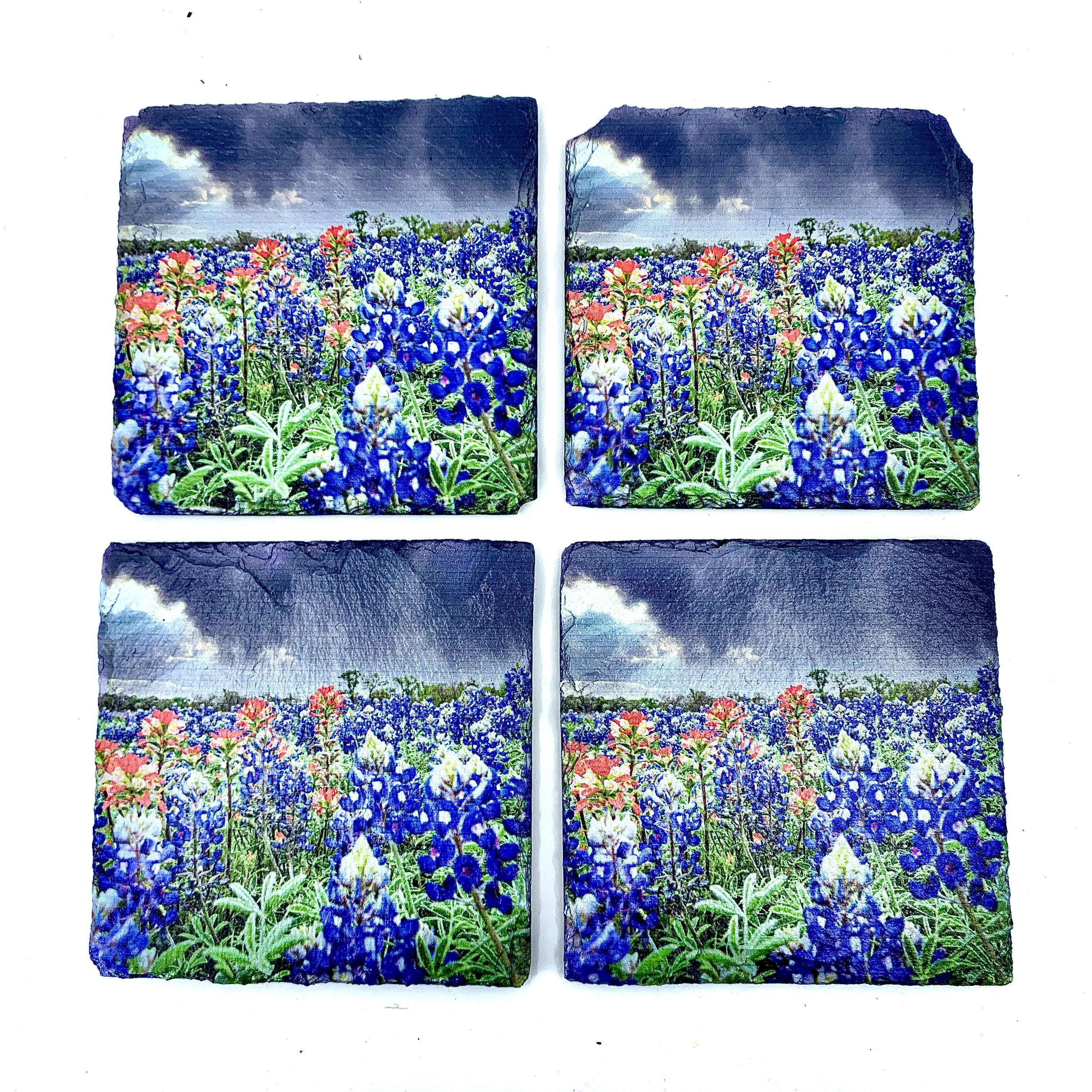 Bluebonnets, April Showers, Black Slate Coaster Set of 4