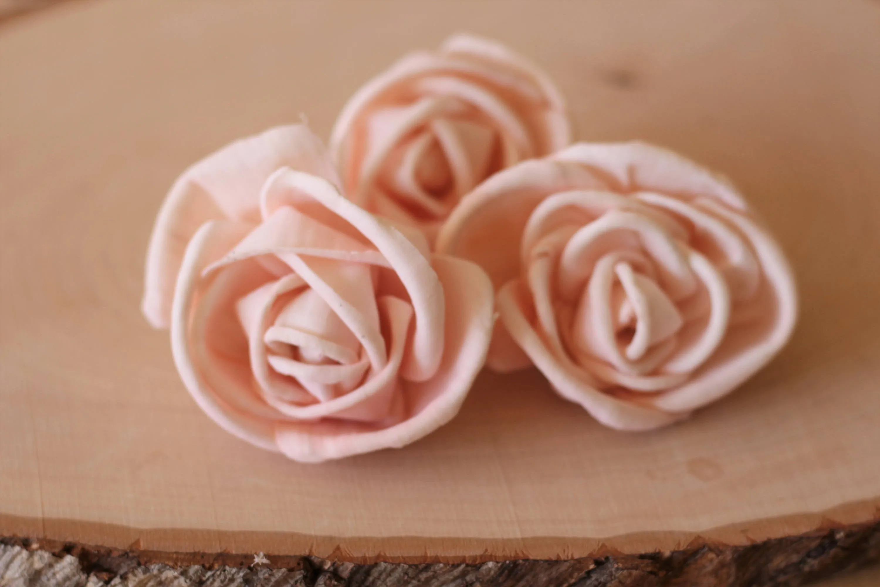 Blush Pink Premium Sola Wood Flowers (Set of 12)