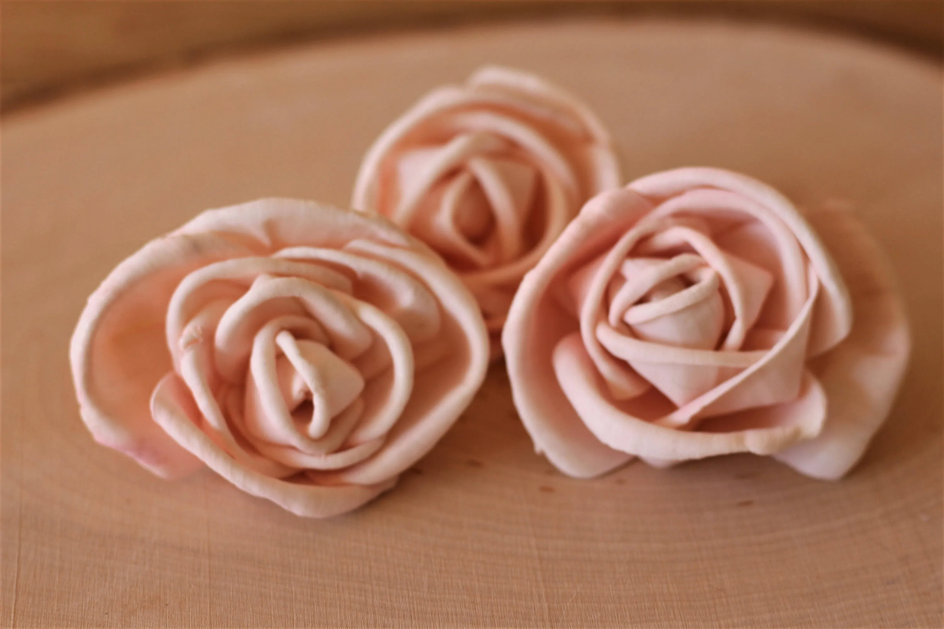 Blush Pink Premium Sola Wood Flowers (Set of 12)