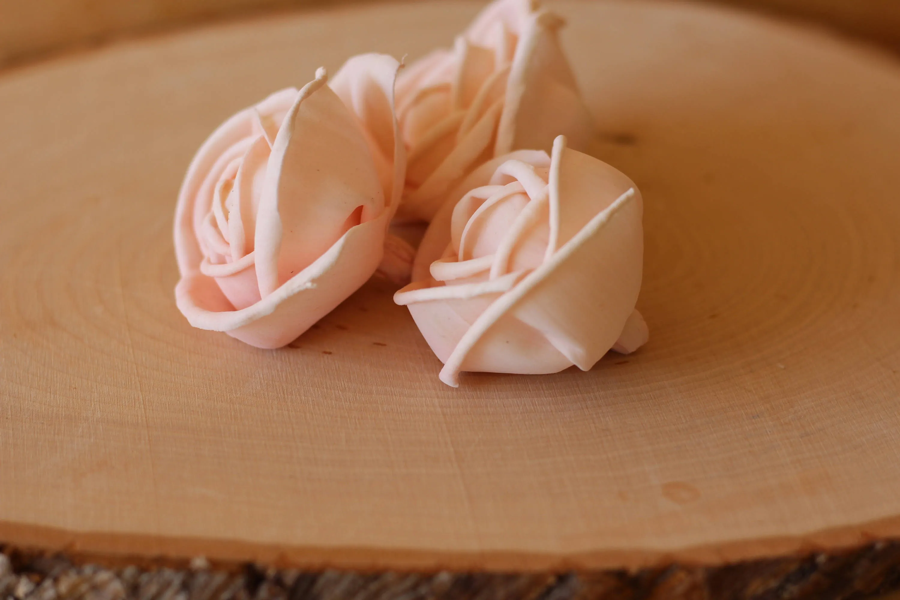 Blush Pink Premium Sola Wood Flowers (Set of 12)