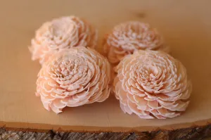 Blush Pink Sola Wood Chorki Flowers ( Set of 12 )