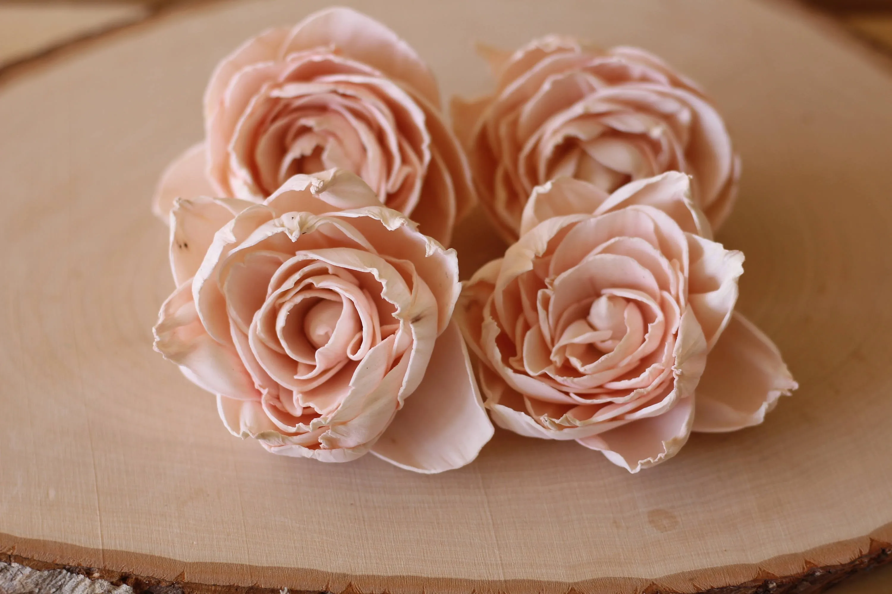 Blush Pink Sola Wood Peonies ( Set of 12 )