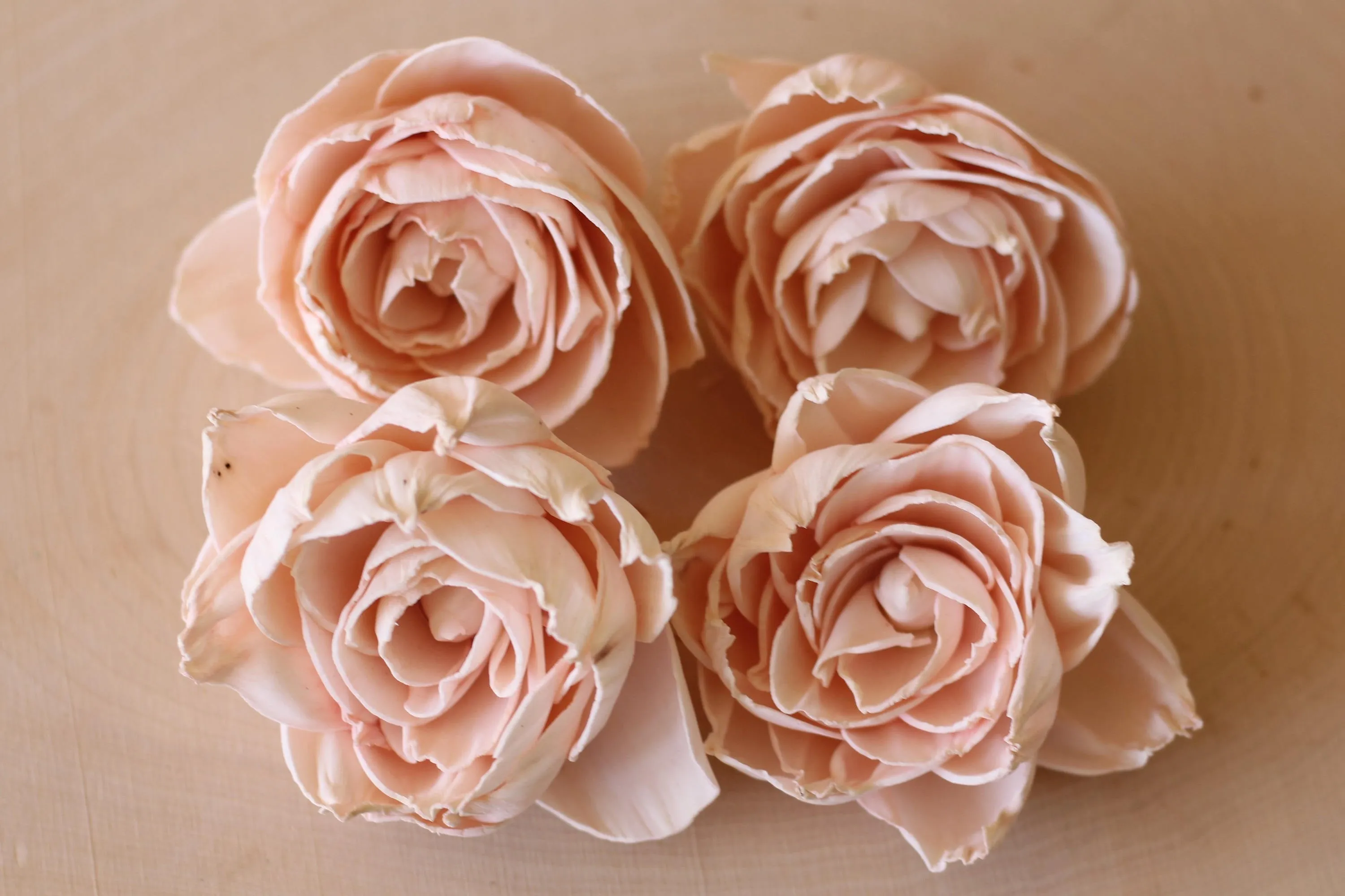 Blush Pink Sola Wood Peonies ( Set of 12 )