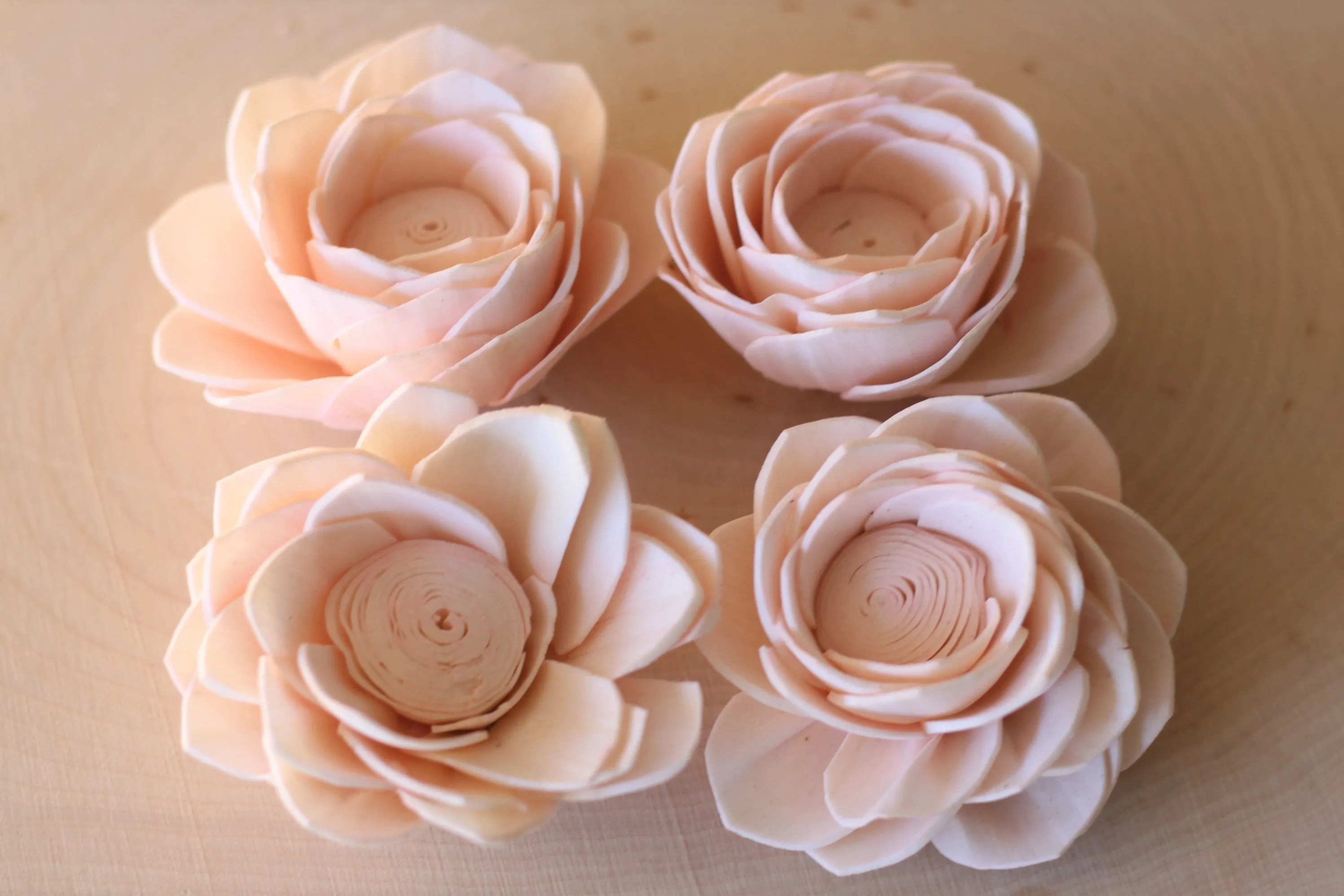 Blush Pink Sola Wood Poppy Flowers 2" ( Set of 12 )