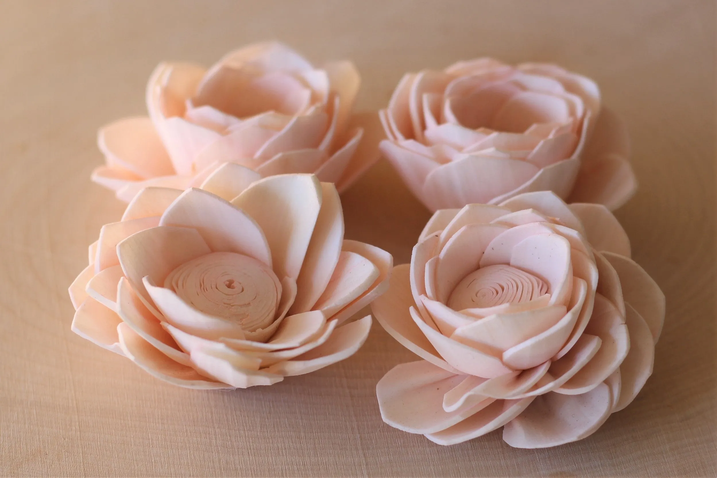 Blush Pink Sola Wood Poppy Flowers 2" ( Set of 12 )