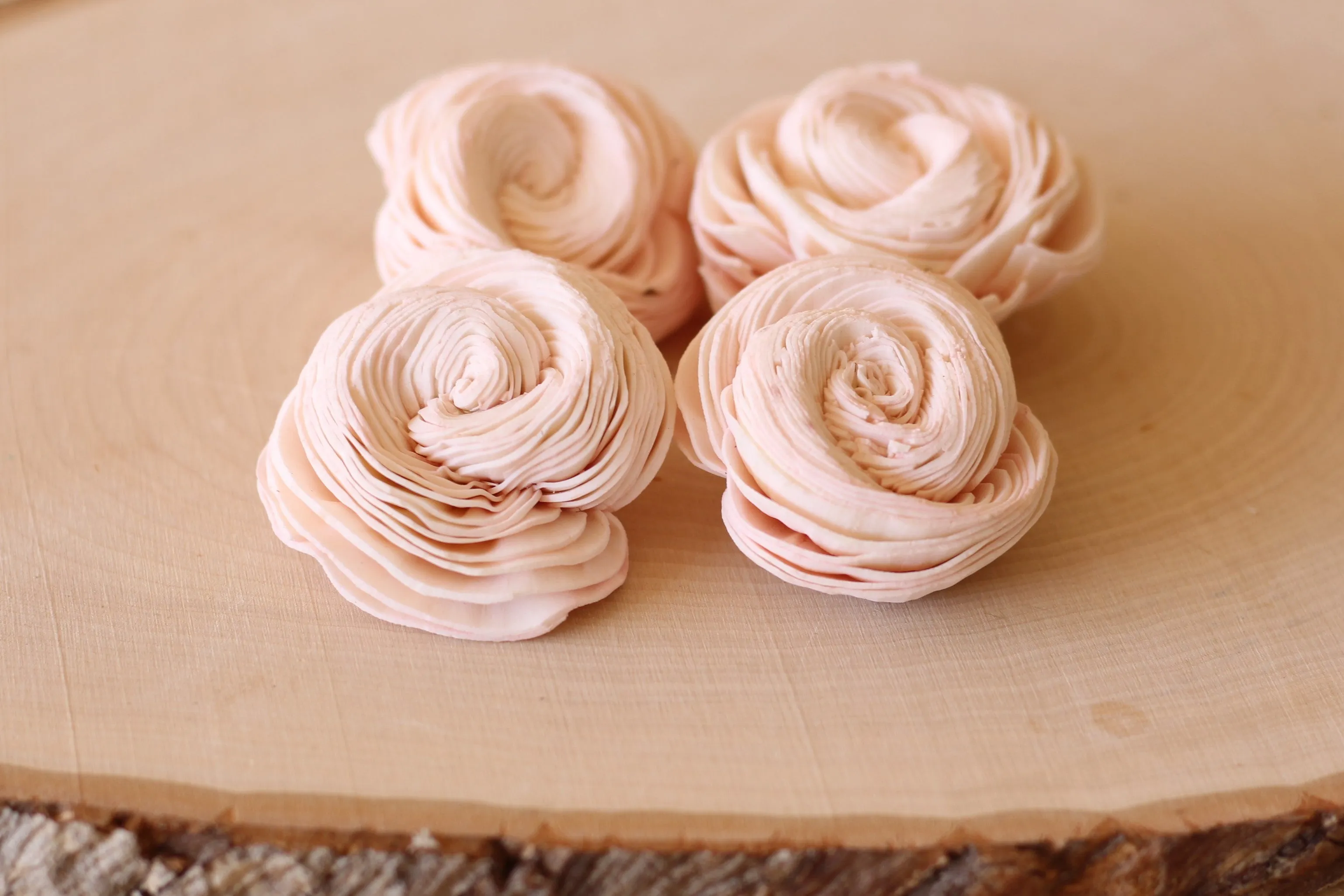 Blush Pink Sola Wood Shell Flowers 2" ( Set of 12 )