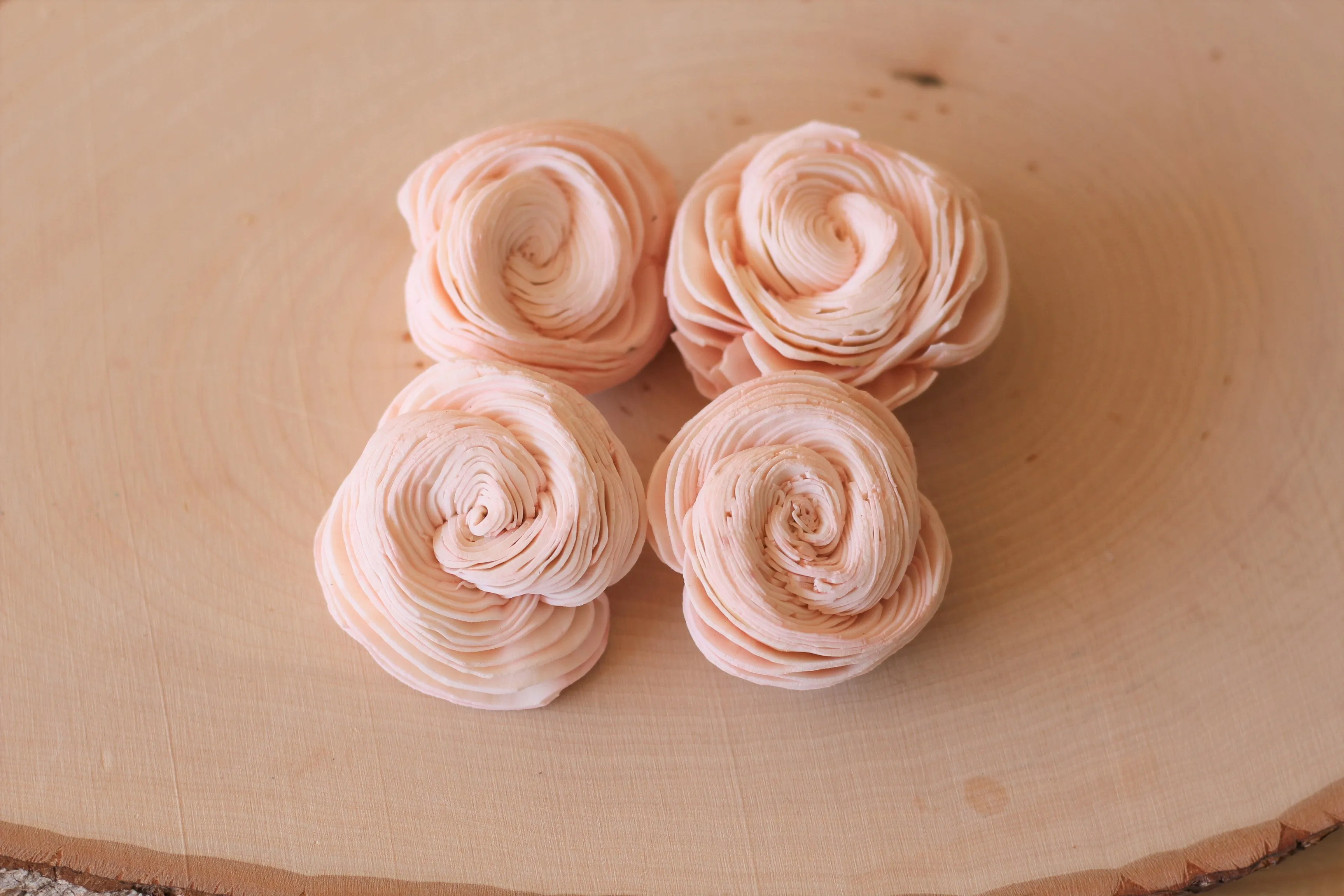 Blush Pink Sola Wood Shell Flowers 2" ( Set of 12 )