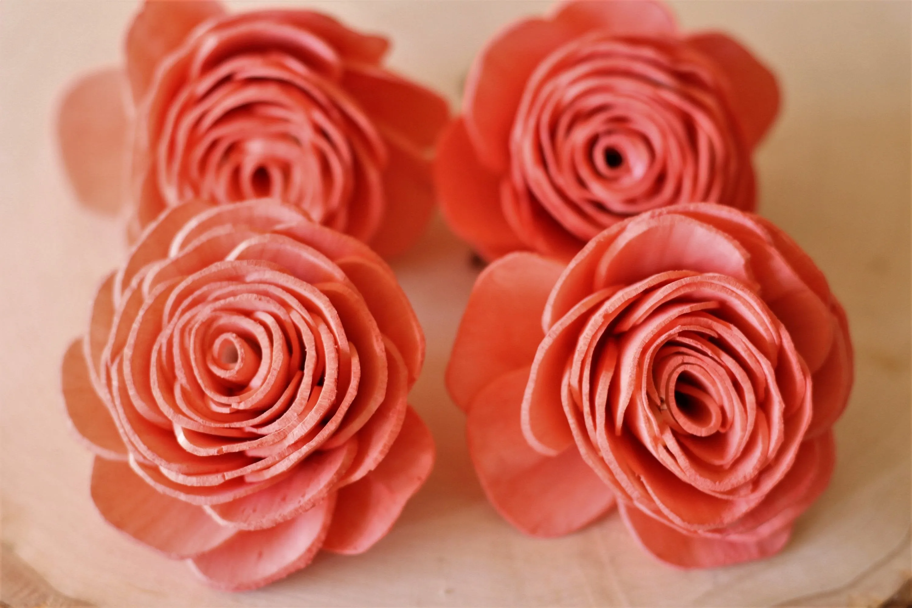 Coral Sola Wood English Rose ( Set of 12 )