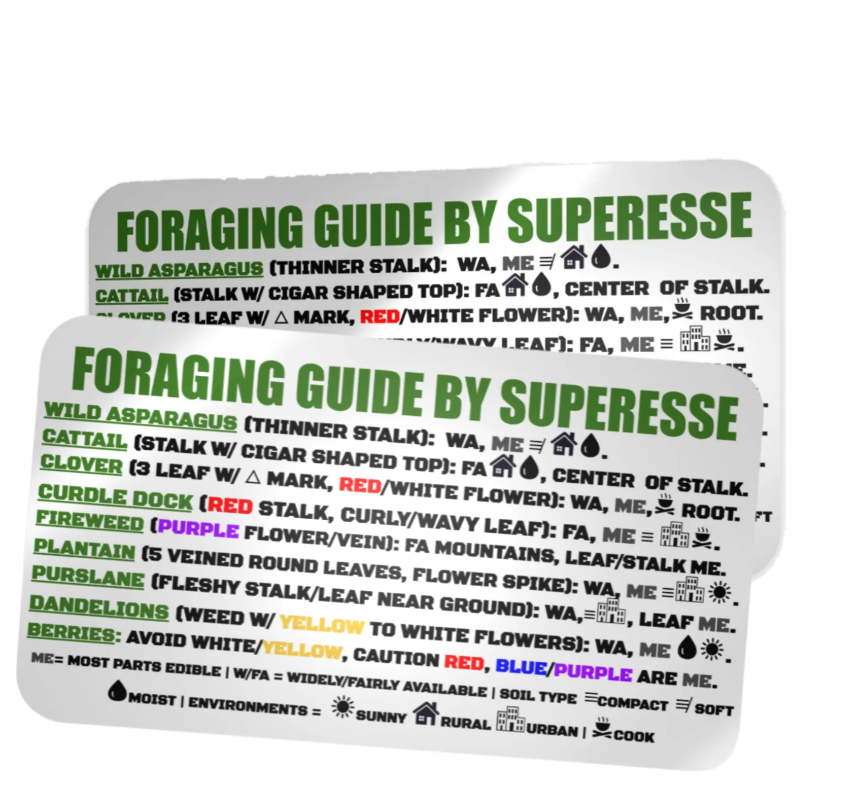 Foraging Guide Decal - Plants and Edibles Quick Identification Reference