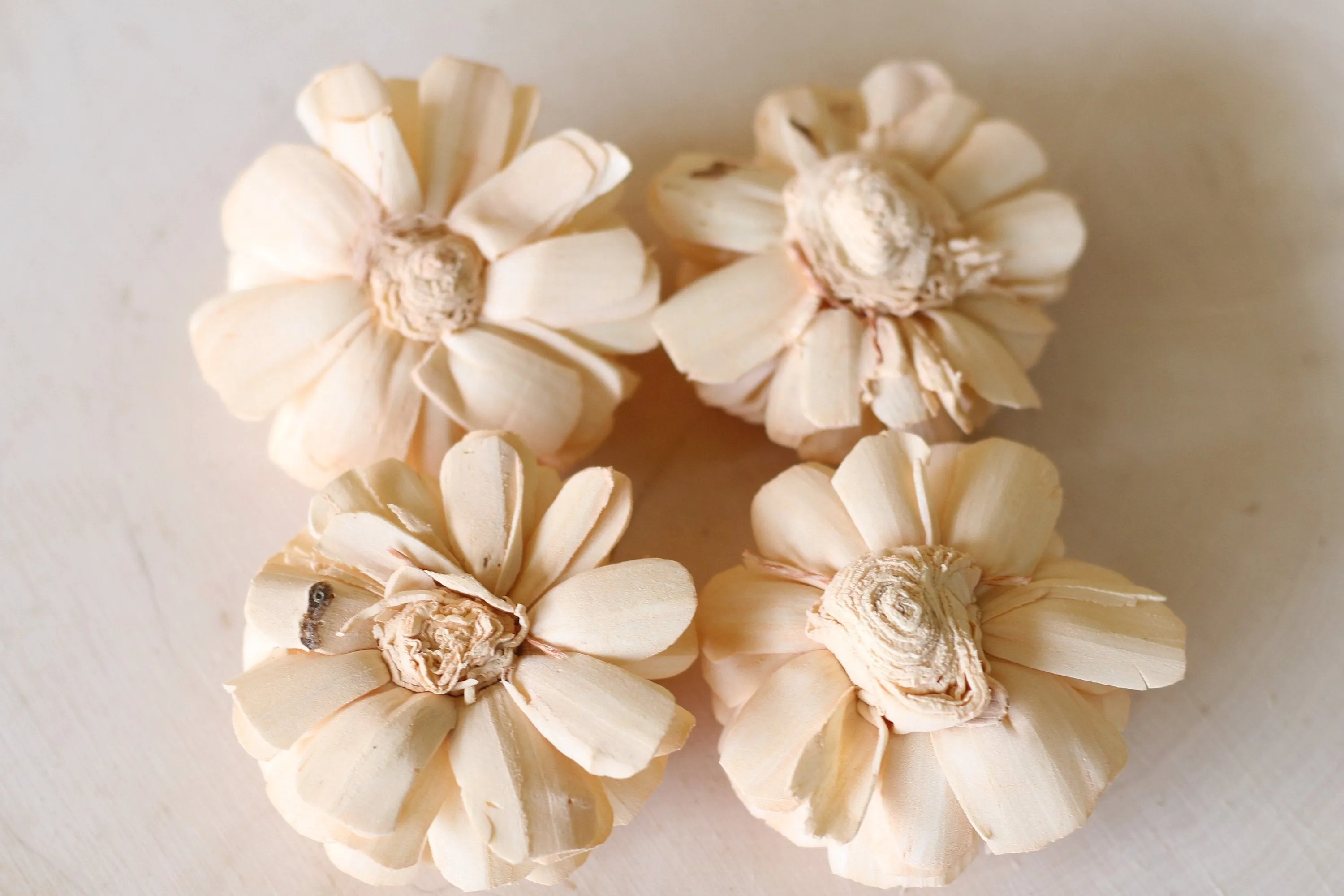 Peach Sola Wood Bali Flowers ( Set of 12 )