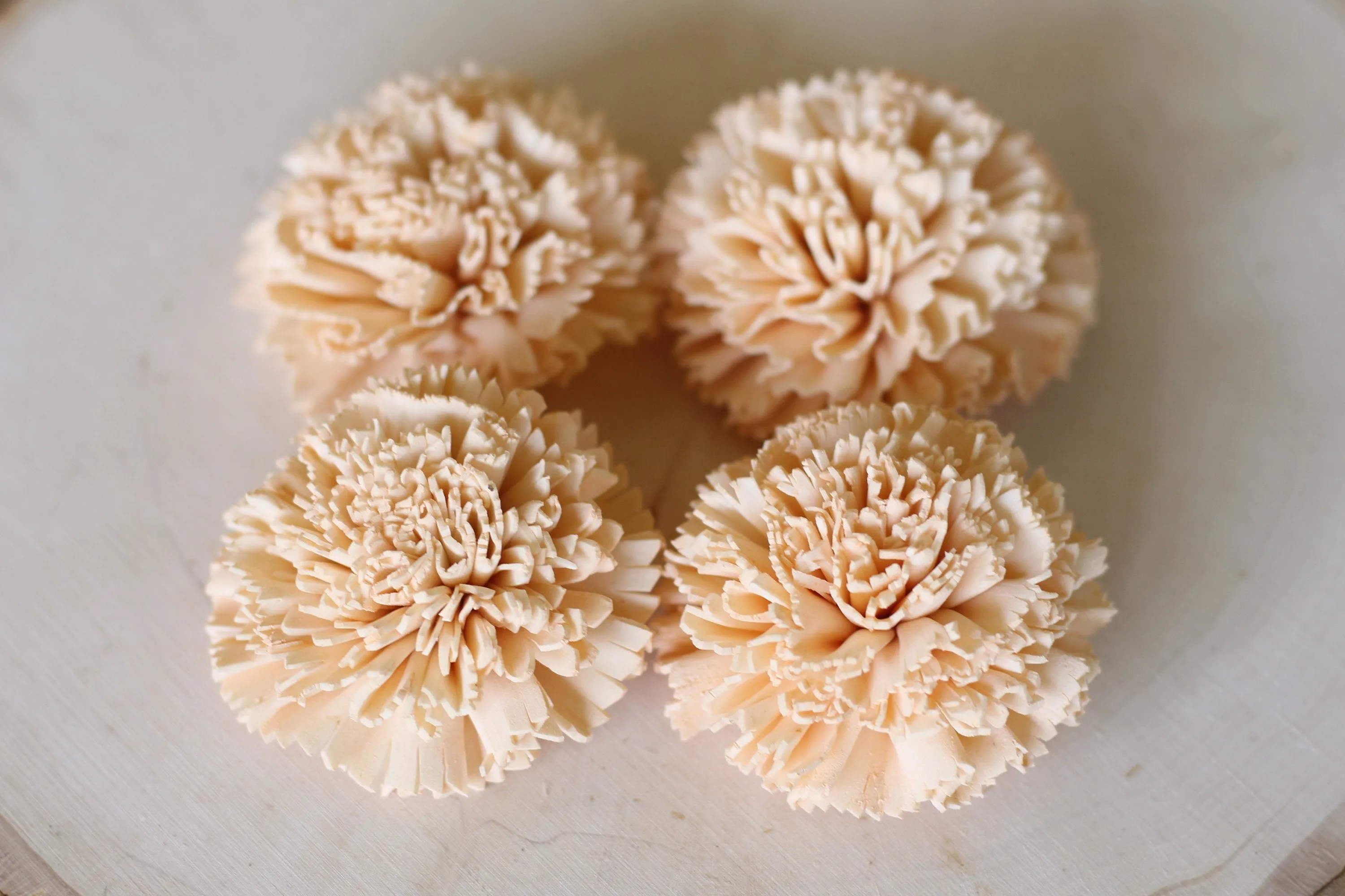 Peach Sola Wood Carnations ( Set of 12 )