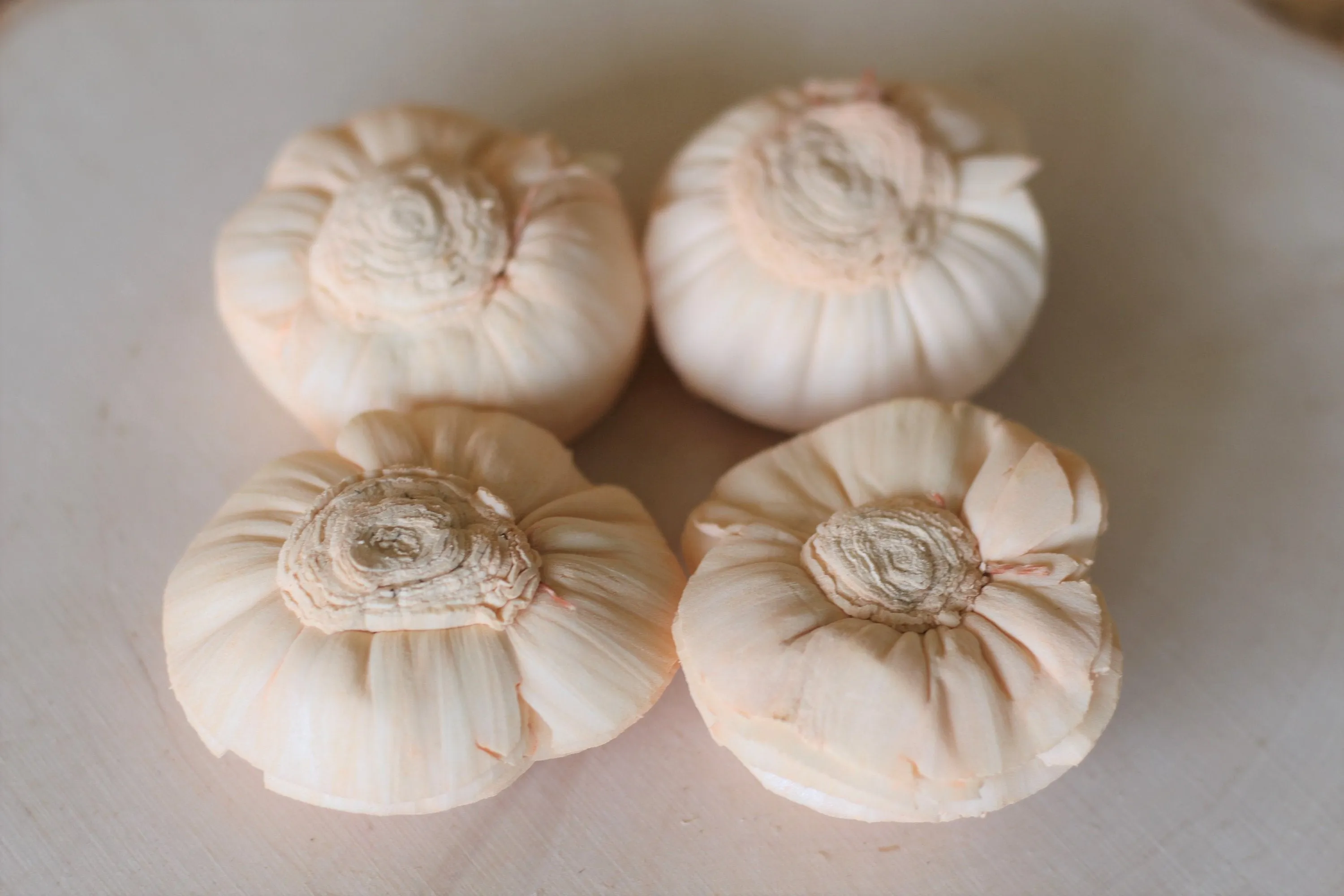 Peach Sola Wood Shell Flowers ( Set of 12 )