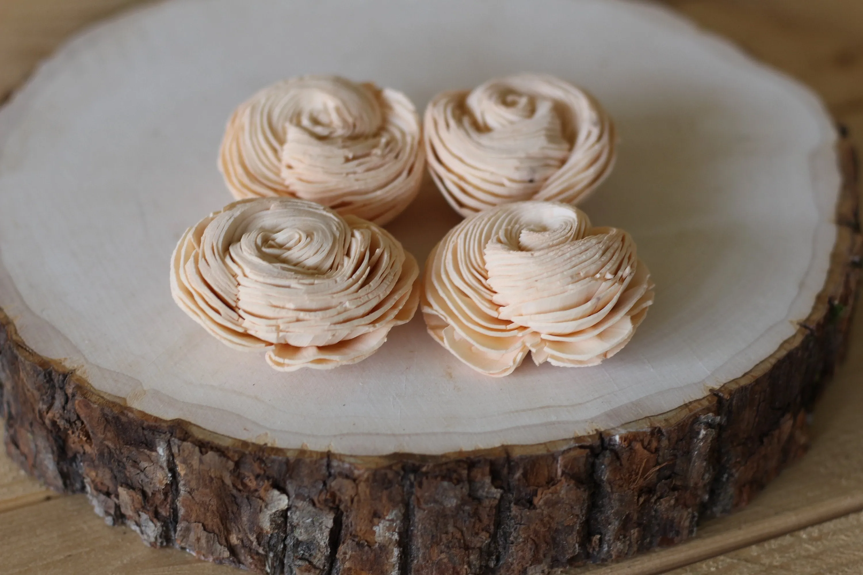 Peach Sola Wood Shell Flowers ( Set of 12 )