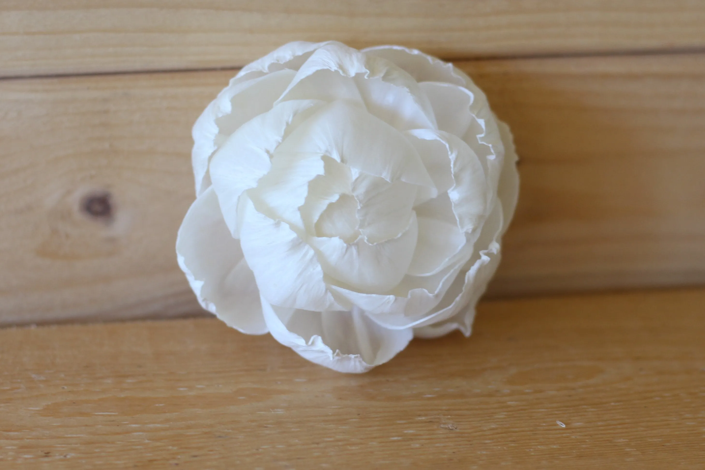 Premium Sola Wood Peonies 3" (Set of 10)