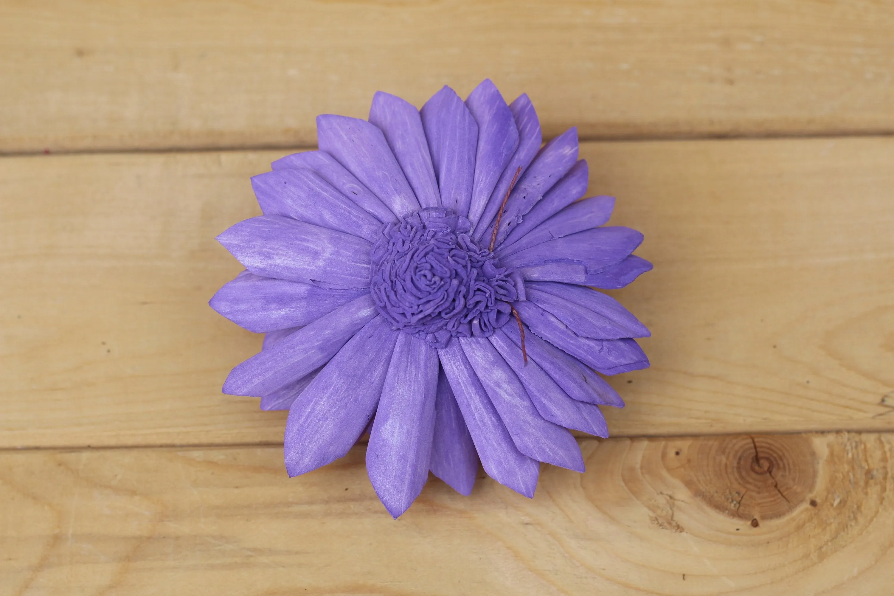 Purple Sola Dahlias 4" ( Set of 5 )