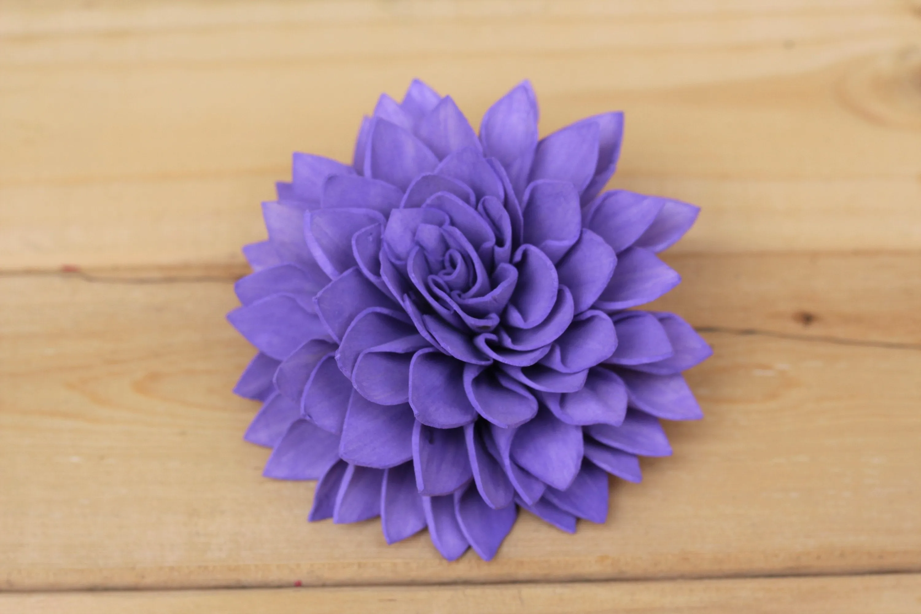 Purple Sola Dahlias 4" ( Set of 5 )