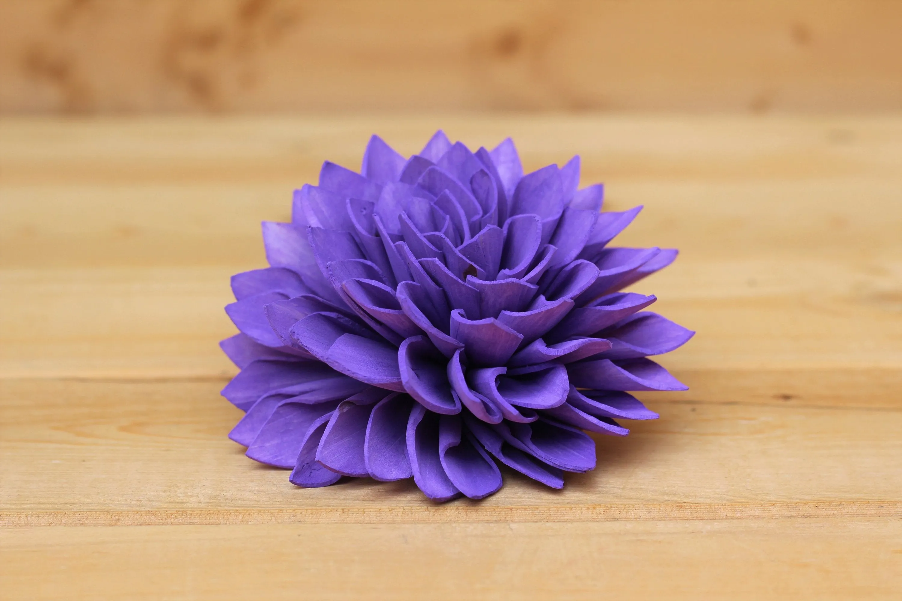 Purple Sola Dahlias 4" ( Set of 5 )