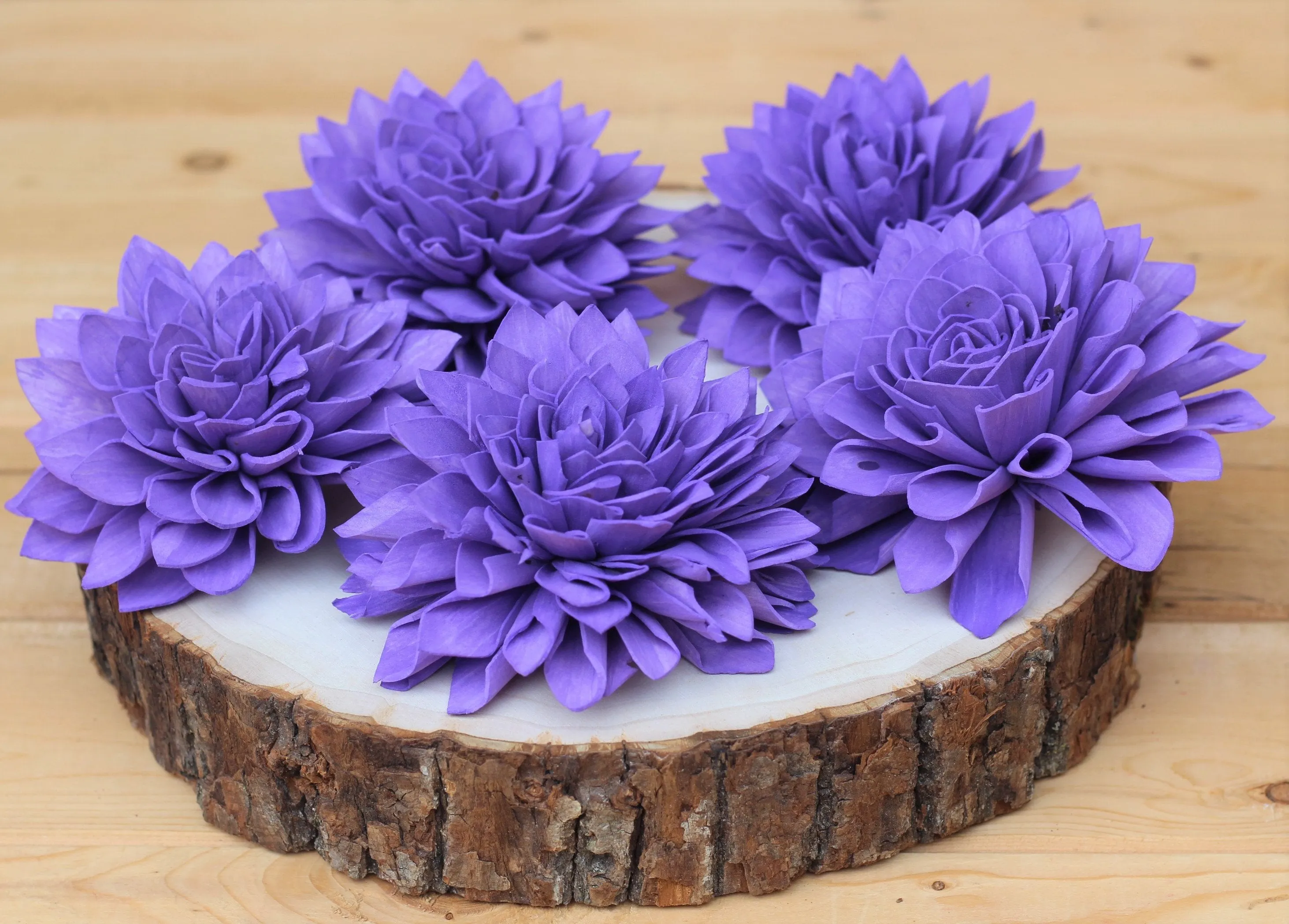 Purple Sola Dahlias 4" ( Set of 5 )